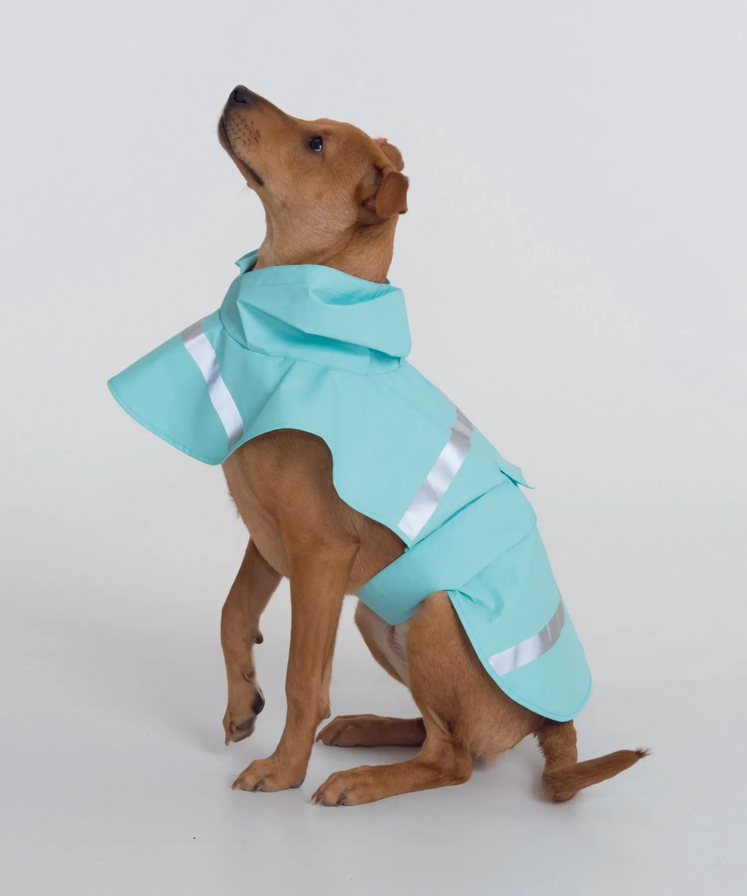 Charles River New Englander Doggie Rain Jacket