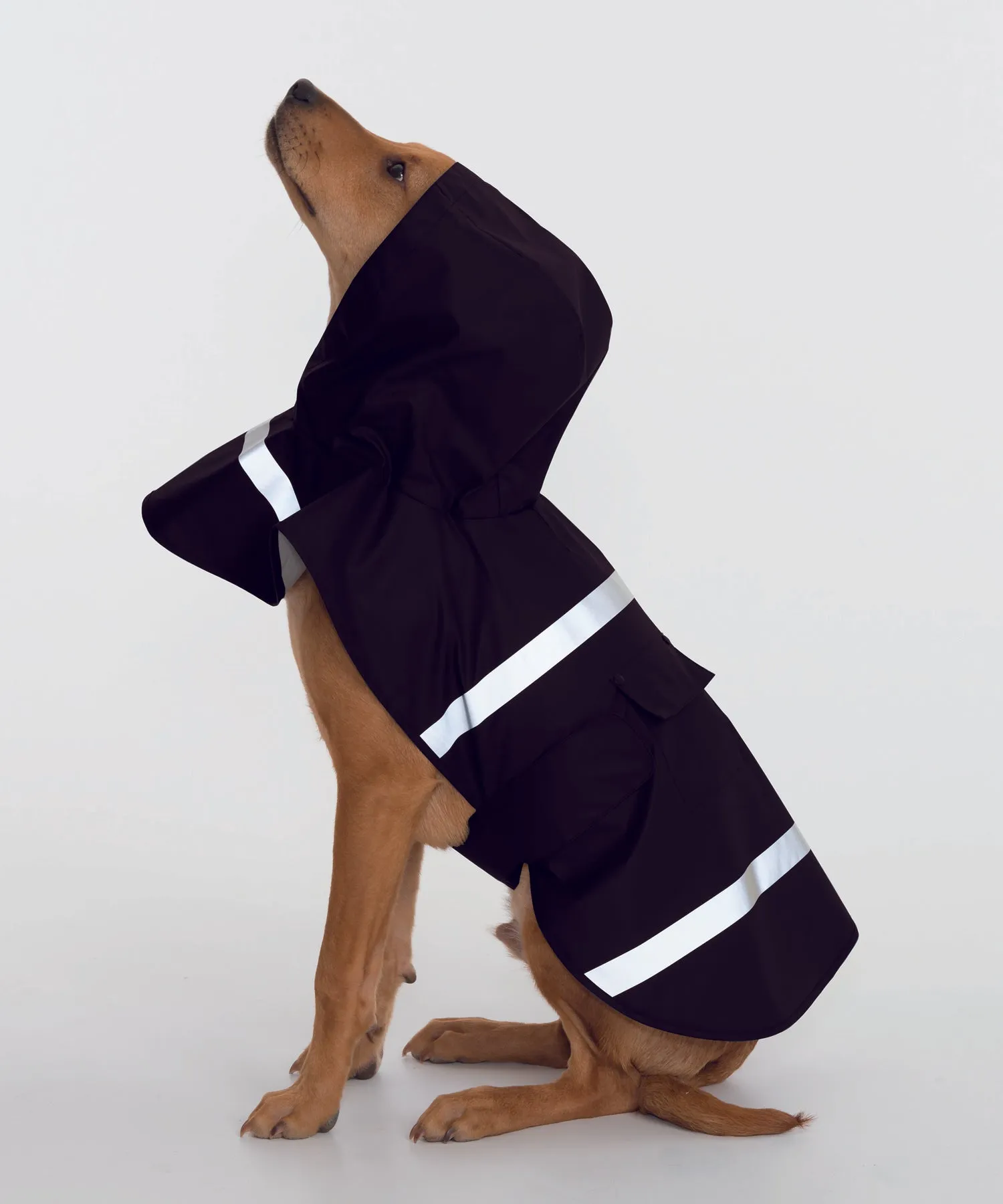 Charles River New Englander Doggie Rain Jacket