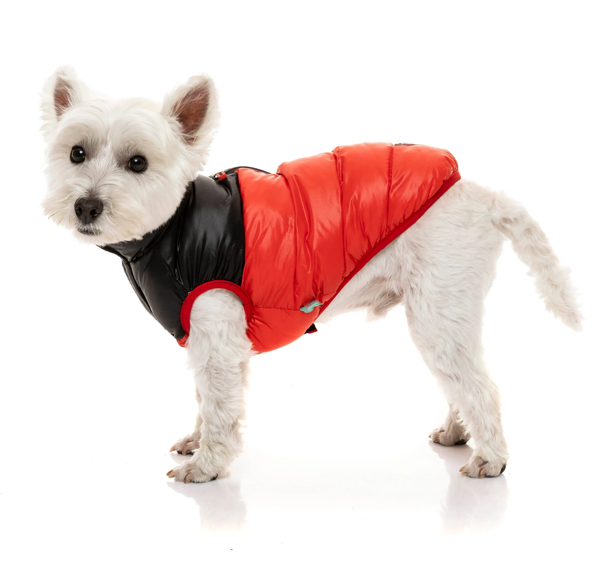Harlem Puffer Jacket - Red