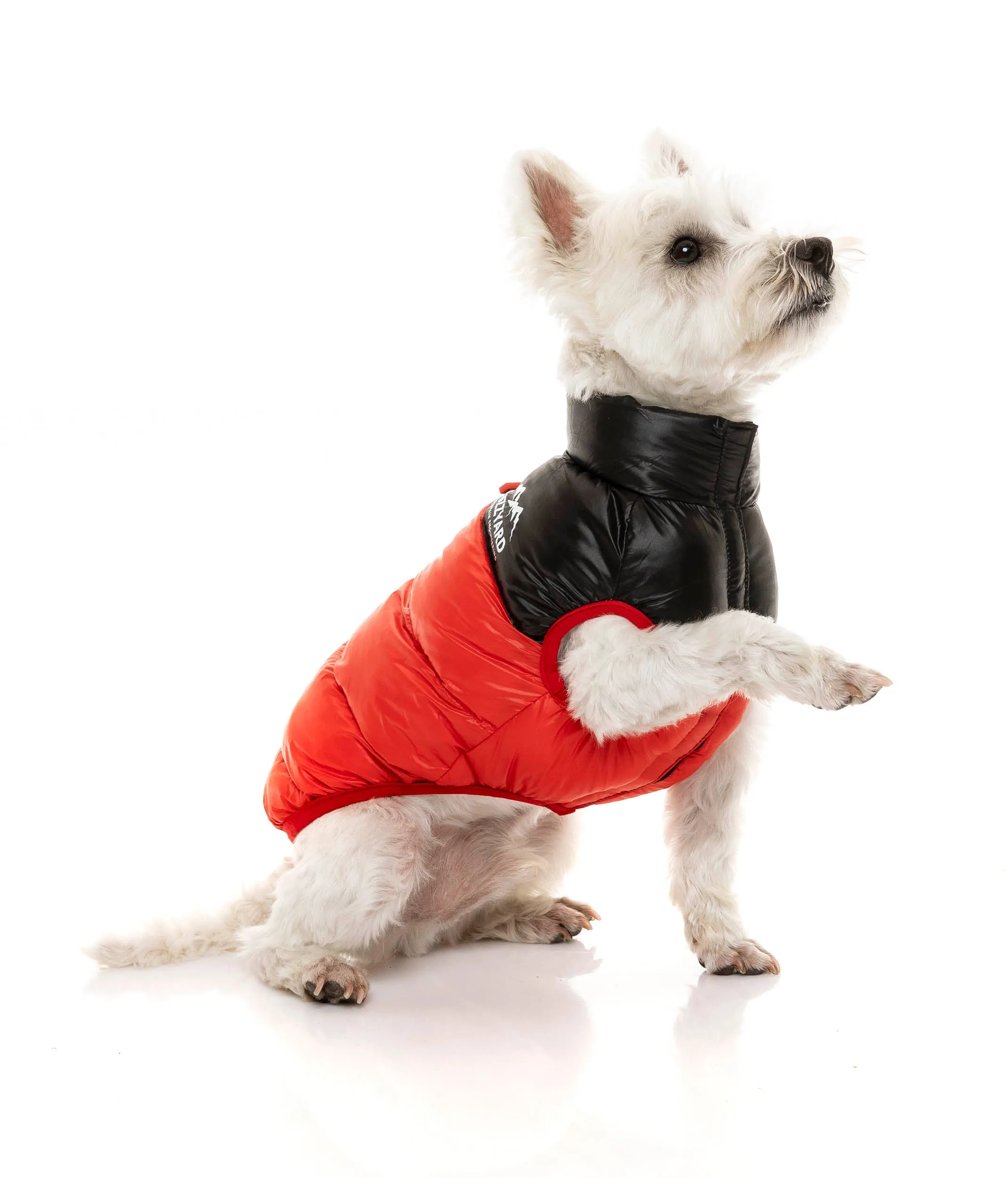 Harlem Puffer Jacket - Red
