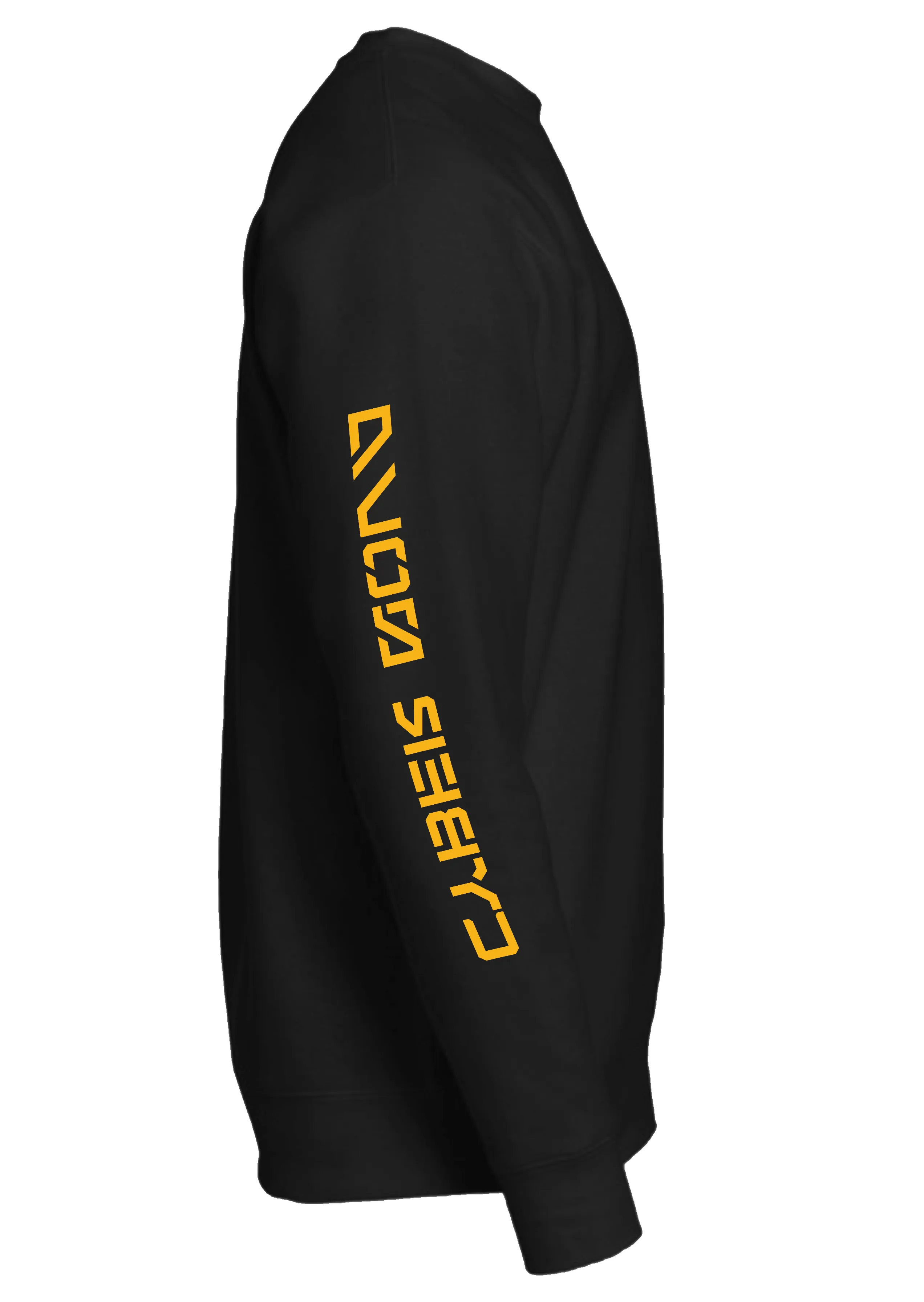 Ryder Cybertech Guy Graphic Sweatshirt